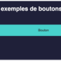 css_exemple_boutons.png